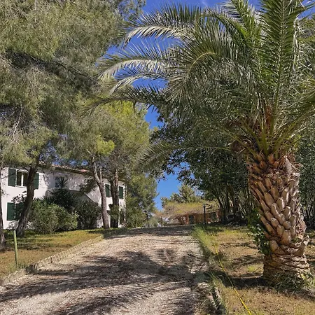 Nature Retreat Spacious 5 Bedroom Modern With Private Park Villa